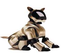 Aibo est utilisé pour tester les possibilités d'apprentissage des robots. © Sony Aibo est utilisé pour tester les possibilités d'apprentissage des robots. © Sony