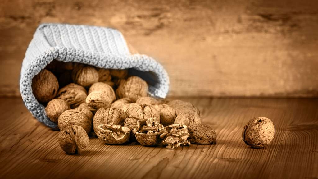 La noix, un fruit à écale hors du commun La noix, un fruit à écale hors du commun