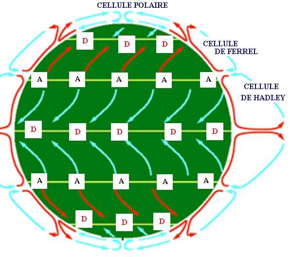 La position de la cellule de Hadley par rapport au globe.