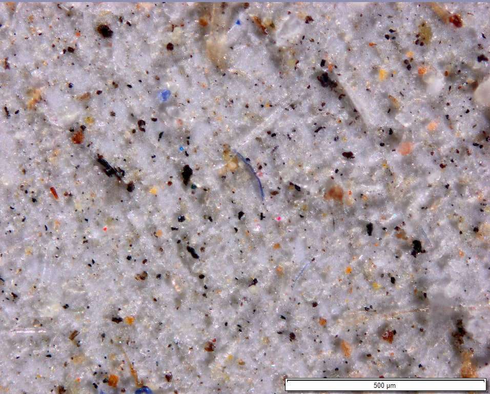 Des microplastiques récupérés dans une zone reculée de l'ouest des États-Unis. © Janice Brahney, Université de l'Utah