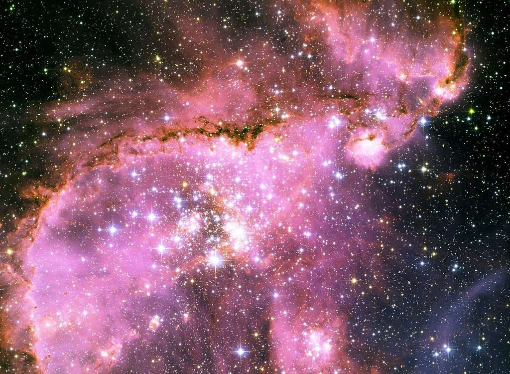 Située à 210.000 années-lumière dans la constellation du Toucan, la nébuleuse NGC 346 se trouve dans le Petit Nuage de Magellan. C'est l'une des régions de formation d'étoiles les plus intenses connues. © Nasa, Esa and the Hubble Heritage Team (STScI/AURA)