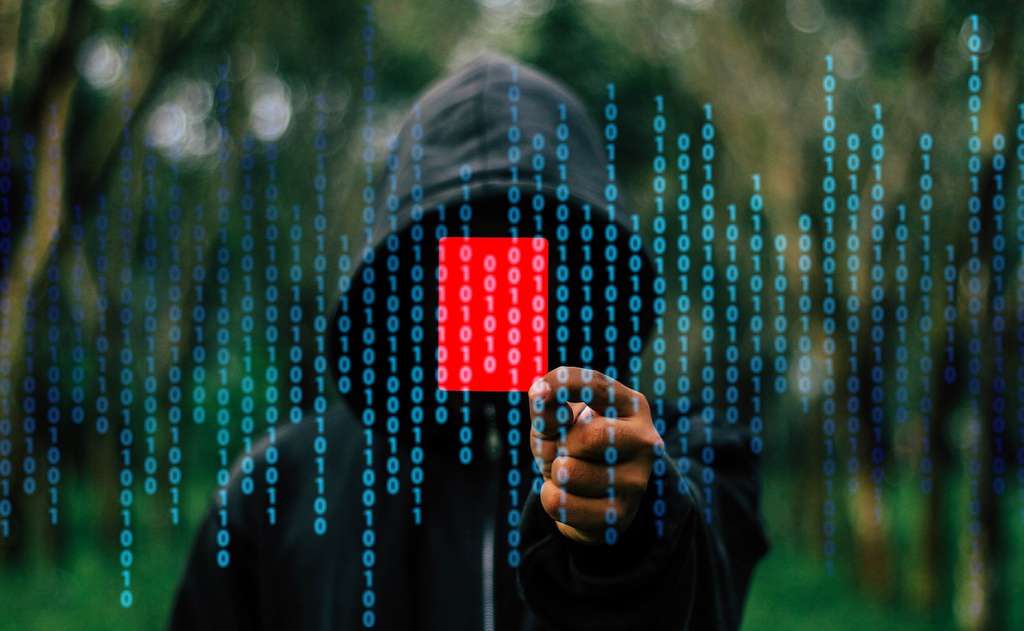 Les données stockées par les entreprises ou les États sont prisées par les hackers. © Geralt Pixabay