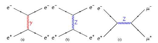 Fig. 13 : exemples d'interaction entre électron et positron : a) l'électron et le positron échangent un photon (interaction électromagnétique), b) l'électron et le positron échangent un Z (interaction faible), c) l'électron et le positron s'annihilent en un Z qui se désintègre en paire muon anti-muon (interaction faible).