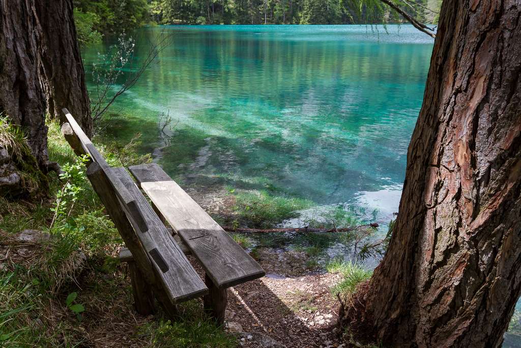 Le seul banc au sec autour du lac Vert Le seul banc au sec autour du lac Vert