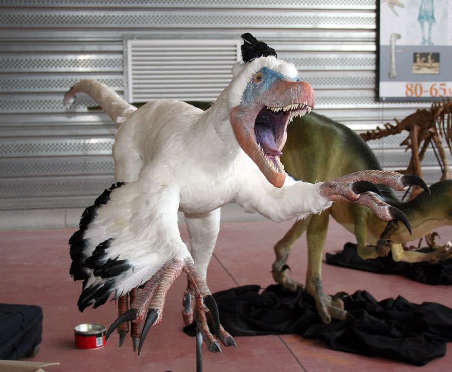 Variraptor au Musée d'Esparaza Variraptor au Musée d'Esparaza