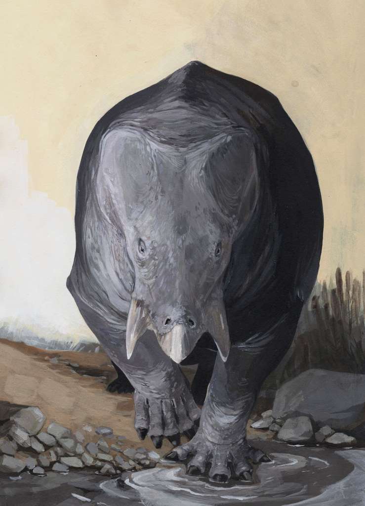 Avec son corps d’hippopotame, ses défenses d’éléphant et son bec de tortue, le Lisowicia bojani est un curieux mélange de mammifère et de reptile. © Karolina Suchan-Okulska