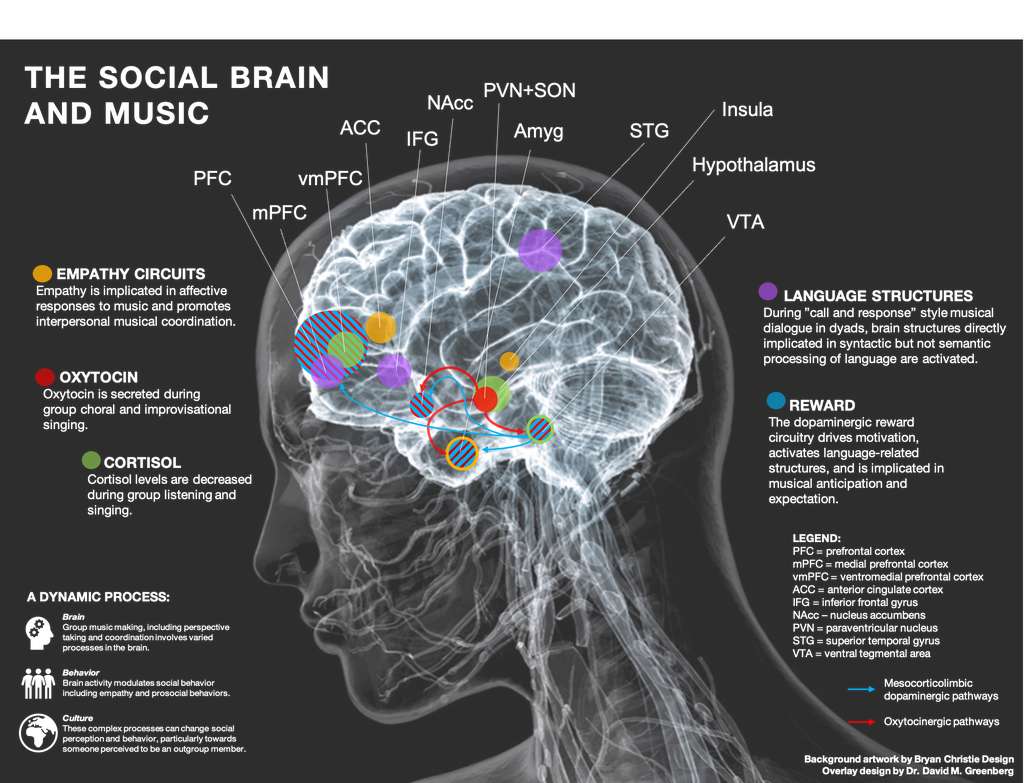 Quels Sont Les Effets De La Musique Sur Notre Humanité 