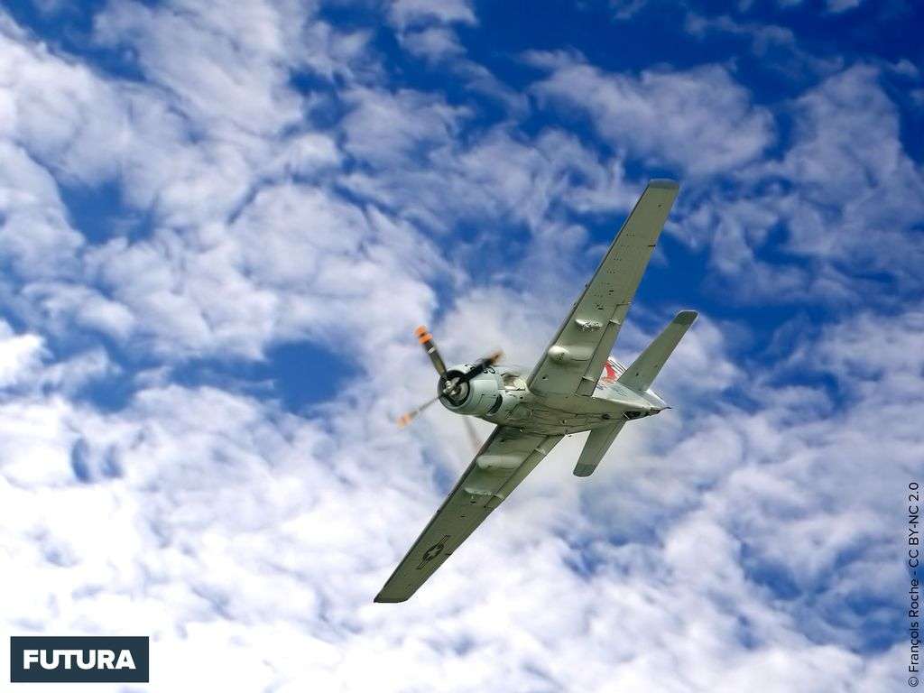 Avion Douglas Skyraider