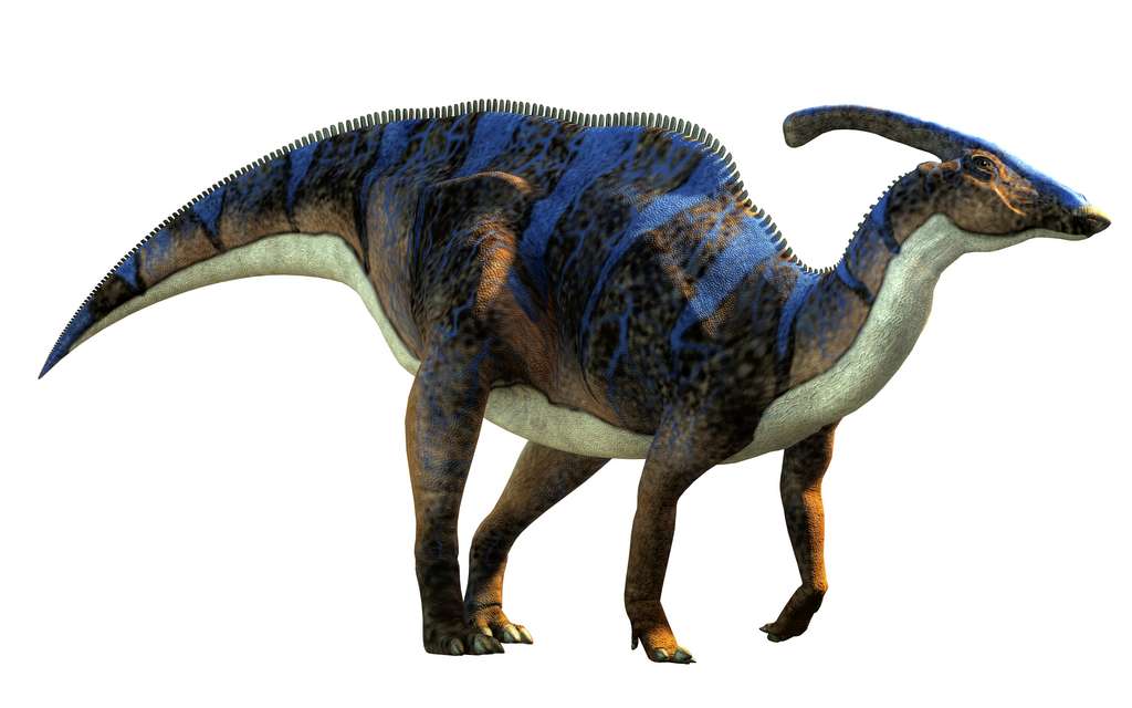 Il existe une grande diversité de dinosaures ornithopodes, parmi lesquels les hadrosaures. © Daniel, Adobe Stock