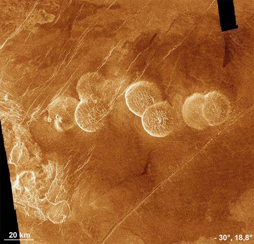 La présence de ces dômes volcaniques sur Vénus s’explique sans doute par l’émission d’une lave très visqueuse. © USGS