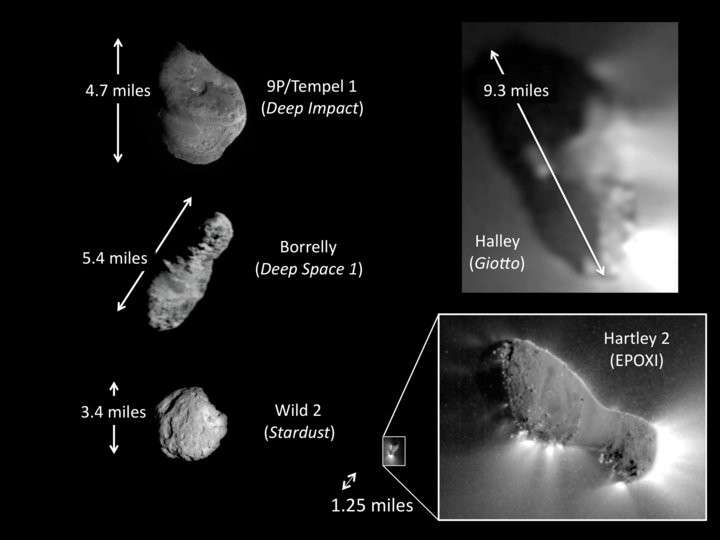 Comparaison de la taille des différents noyaux cométaires qui ont reçu la visite de sondes. © Nasa