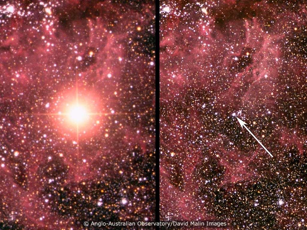 À gauche : le 24 février 1987, la supernova SN1987a brille de mille feux dans le Grand Nuage de Magellan. À droite : 24 heures plus tôt, un cliché de la même région pris dans le cadre d’un autre programme de recherche ne laisse rien présager du spectacle qui se prépare. © Anglo-Australian Observatory