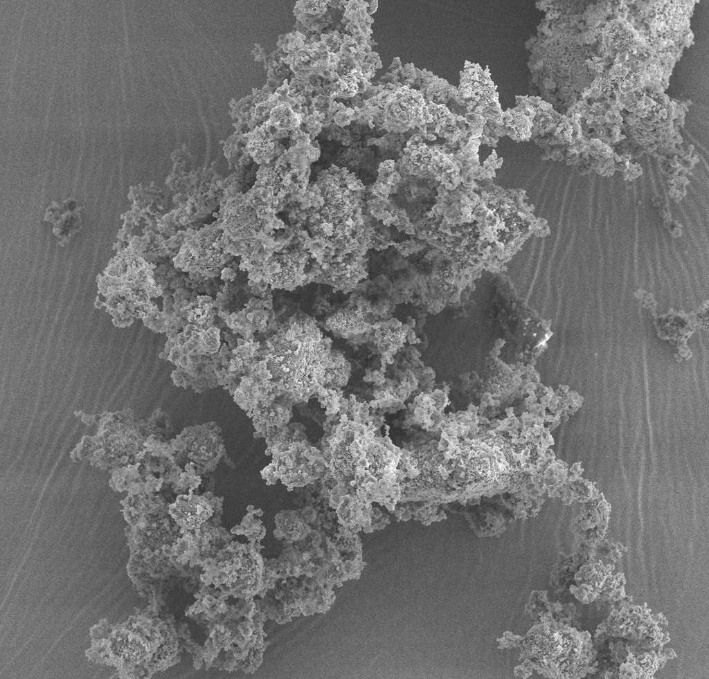 Un agrégat de verre bioactif vu au microscope électronique à balayage. Il contient des minéraux et, surtout, semble ralentir la prolifération bactérienne, responsable des caries. © Oregon University