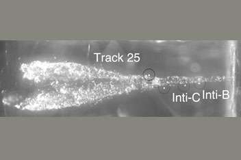 Figure 1. La trace laissée par la capture d'une poussière cométaire de Wild 2 dans l'aérogel de Stardust. Les échantillons Inti C et B sont visibles. Crédit : University of Washington
