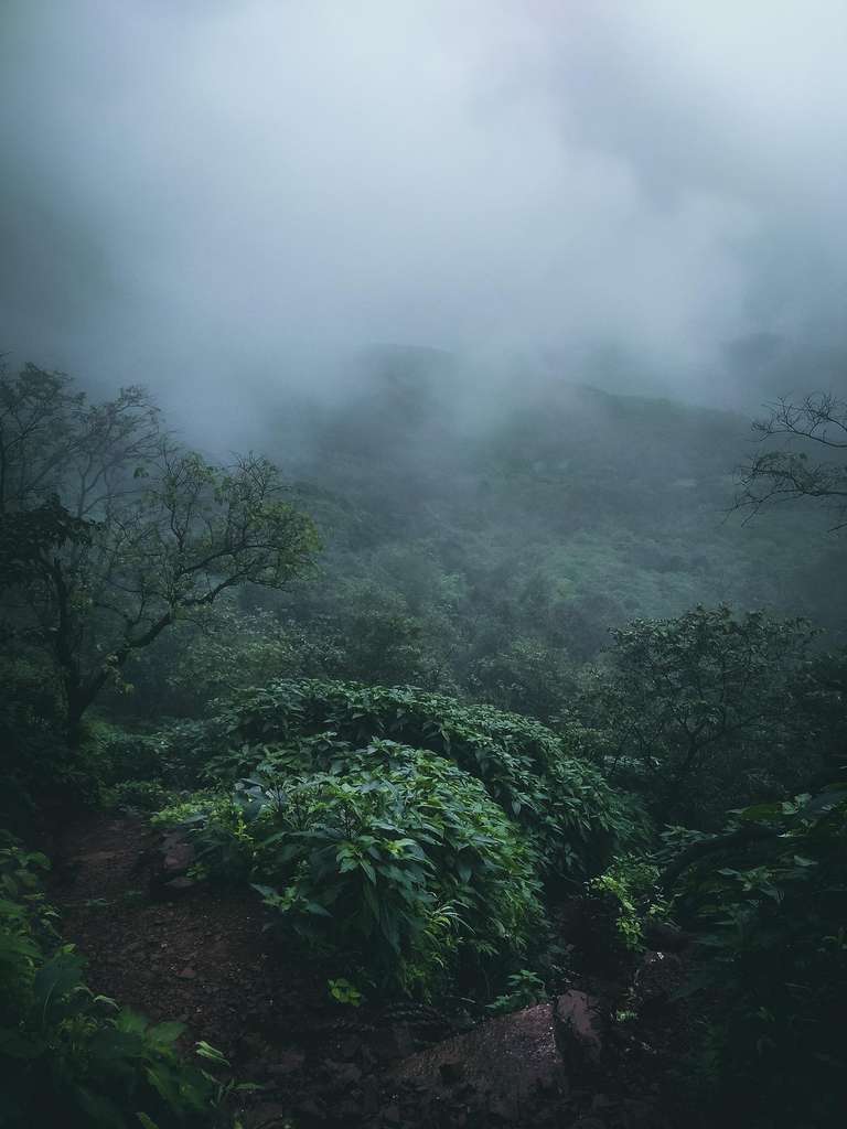 Un climat humide favorise de forts taux d'altération et d'érosion sur les reliefs montagneux. © Darshak Pandya, Pixabay