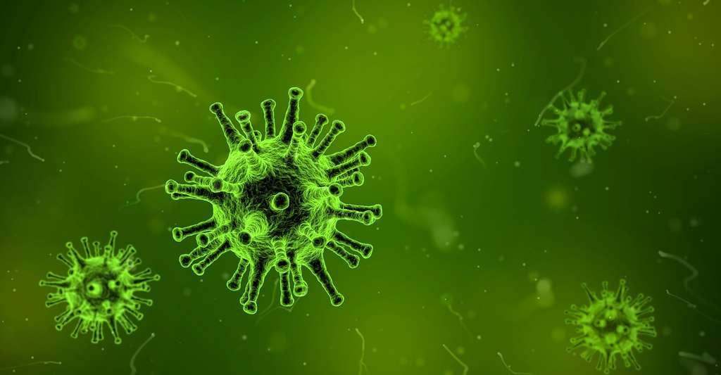 Les cellules T tueuses constituent-elles la clé de la lutte contre la grippe ? © qimono, Pixabay, CC0 Creative Commons
