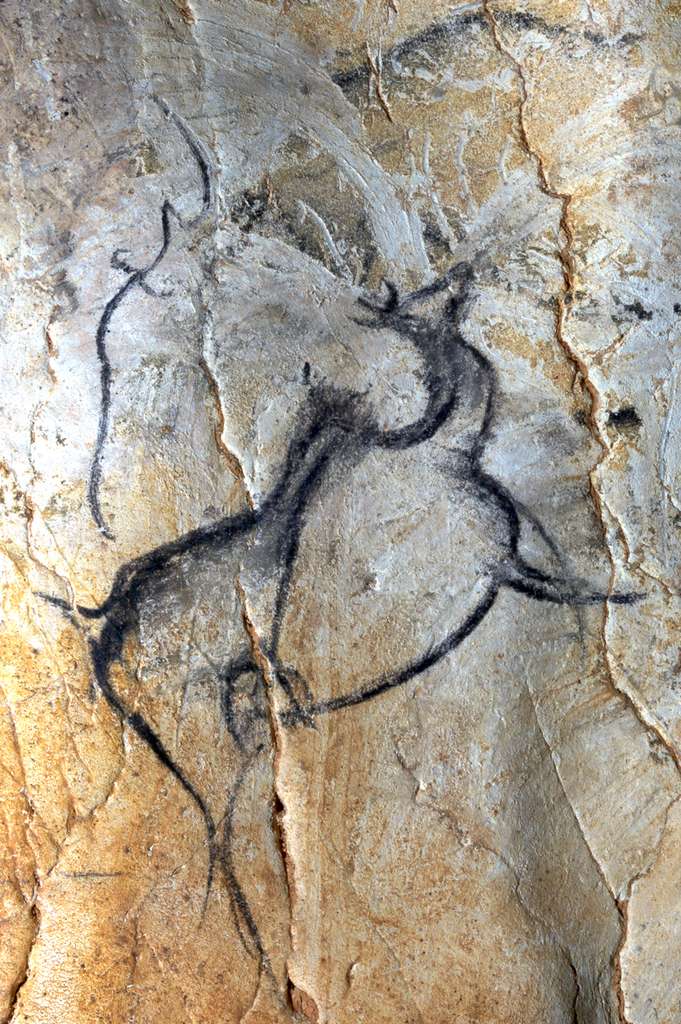 Dessin pariétal de cerf mégacéros Dessin pariétal de cerf mégacéros