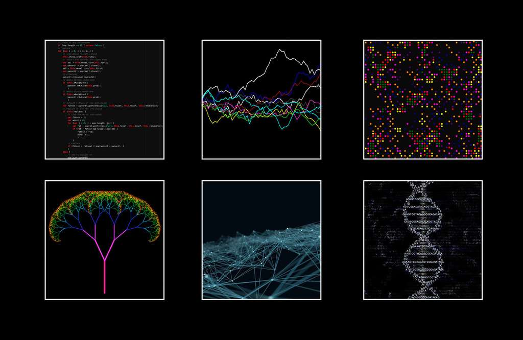 Les différents algorithmes intégrés dans Angelia. © J.-C. Heudin