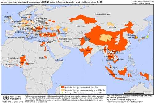 Distribution géographique des cas de grippe aviaire H5N1 chez la volaille et les oiseaux sauvages depuis 2003. © 2006 World Health Organization