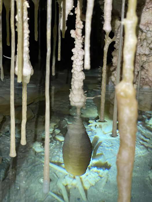 Les variations du niveau marin impactent la morphologie des concrétions dans les grottes inondées par la mer, ici à Majorque. © Université de Floride du Sud