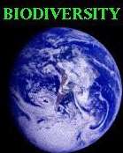La 8ième Conférence des parties à la convention sur la biodiversité s'est achevée le 31 mars Les avis sont partagés... La 8ième Conférence des parties à la convention sur la biodiversité s'est achevée le 31 mars Les avis sont partagés...