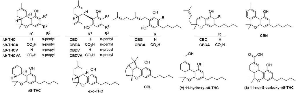 Les cinq cannabinoïdes testés dans la publication ainsi que leur isomère et leur précurseur. © Maya A. Farha et al. bioRxiv Les cinq cannabinoïdes testés dans la publication ainsi que leur isomère et leur précurseur. © Maya A. Farha et al. bioRxiv