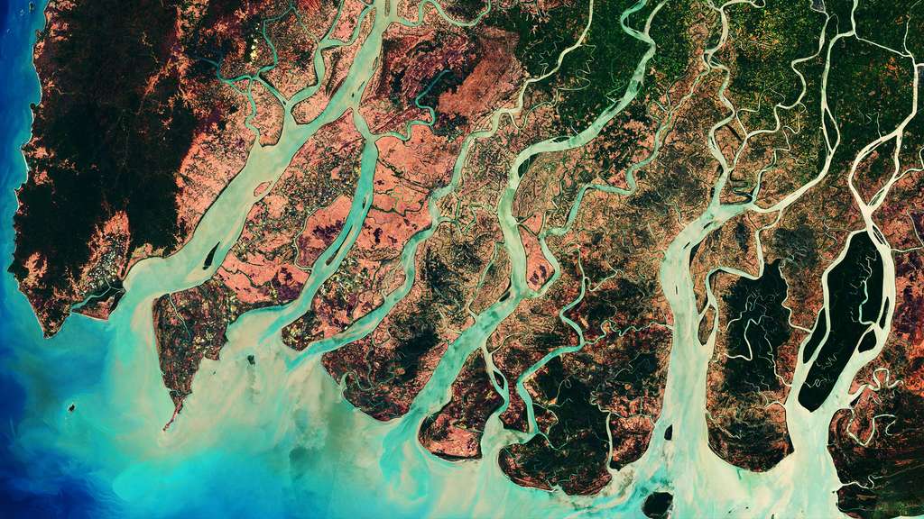 L'Irrawaddy et ses dauphins en Birmanie L'Irrawaddy et ses dauphins en Birmanie