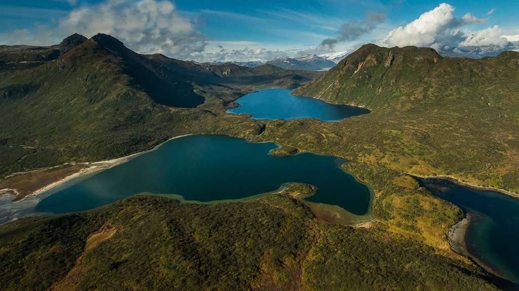 En Alaska, lacs et ruisseaux sont essentiels pour le met favori des ours bruns