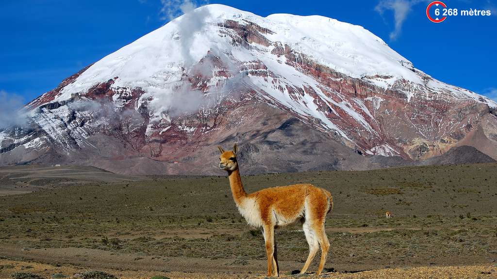 Chimborazo, l’emblème de l’Équateur Chimborazo, l’emblème de l’Équateur