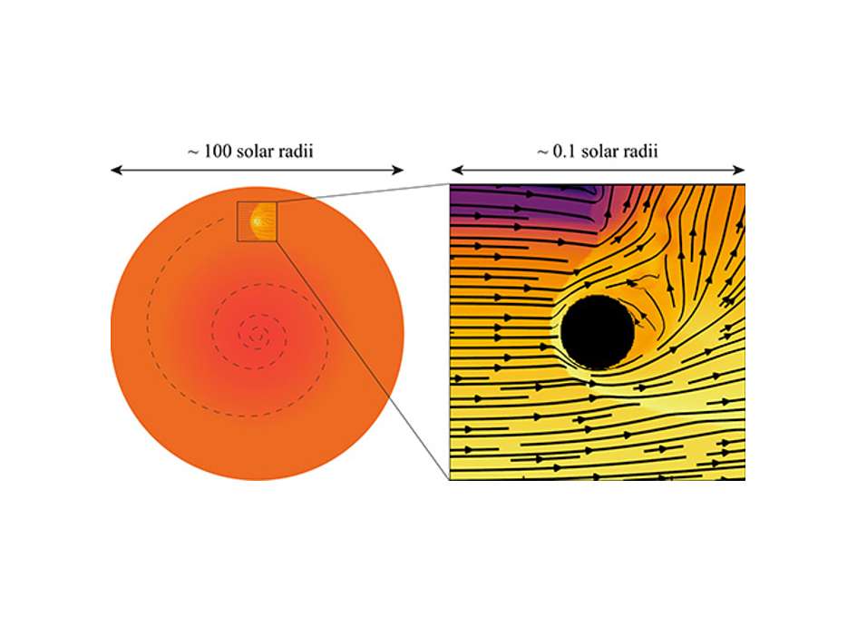 Dans ce schéma d'engloutissement planétaire, l'image de gauche montre une planète à l'intérieur d'une étoile géante, avec sa trajectoire de désintégration orbitale en pointillés. L'image de droite montre la densité et la vitesse dans une simulation de l'écoulement du gaz près de la planète. © Ricardo Yarza
