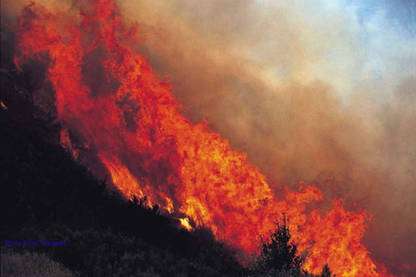 Durant l'été, les interventions contre les feux de forêt se succèdent. © Tracker-France - Tous droits de reproduction interdits 