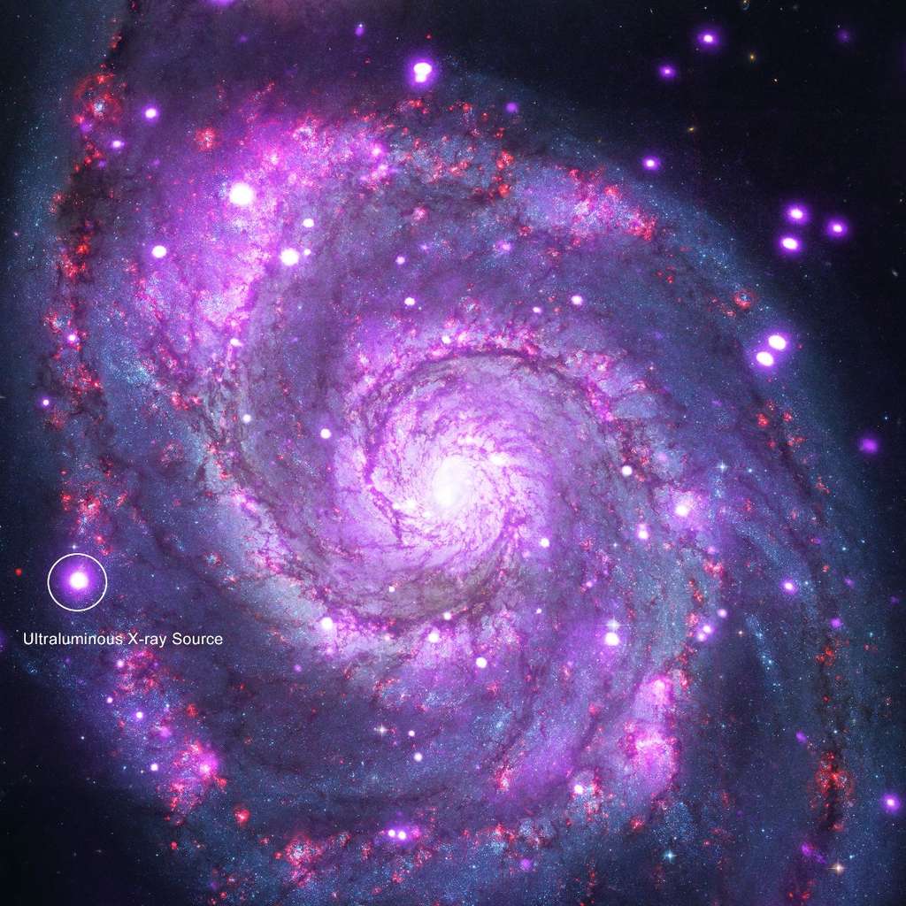 Une image composite montrant en mauve les rayons X vus par Chandra et dans le visible la galaxie M51 vue par Hubble. La source X ultralumineuse de Chandra est bien visible à gauche. © Nasa, CXC, Caltech, M.Brightman et al.; Optique : Nasa, STScI