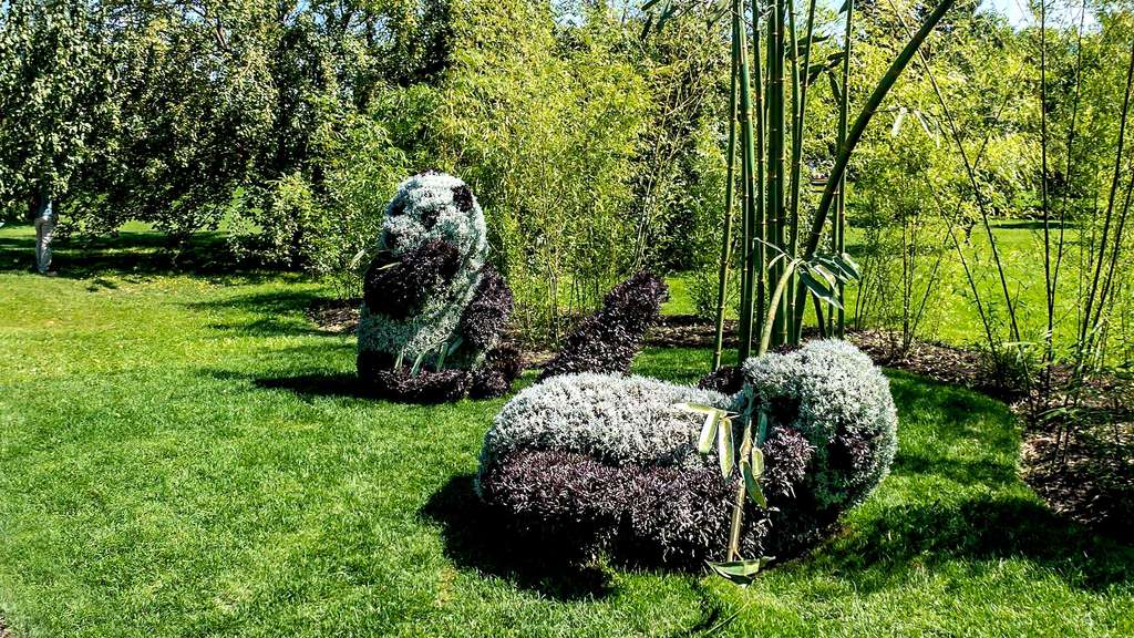 Sculpture végétale de pandas géants par le WWF Sculpture végétale de pandas géants par le WWF