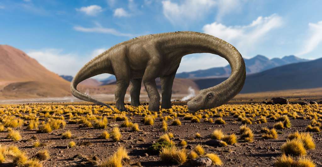 Reconstitution de Rebbachisaurus. © ArcaneHalveKnot, Diego Delso, CC by-sa 4.0