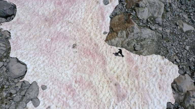 Les algues sont-elles les seules à provoquer cet étrange phénomène ? © Miguel Medina , AFP