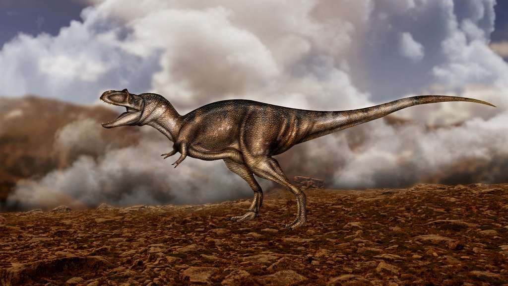 Albertosaurus sarcophagus, un parent de T-Rex Albertosaurus sarcophagus, un parent de T-Rex