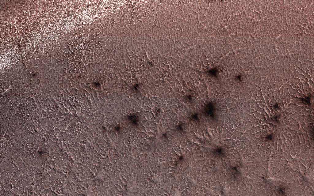 MRO a-t-elle surpris des araignées rampant à la surface de Mars ? © Nasa/JPL-Caltech/Université de l’Arizona MRO a-t-elle surpris des araignées rampant à la surface de Mars ? © Nasa/JPL-Caltech/Université de l’Arizona