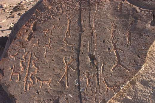 Figure 23 : pétroglyphes de Toro Muerto. © Reproduction et utilisation interdites