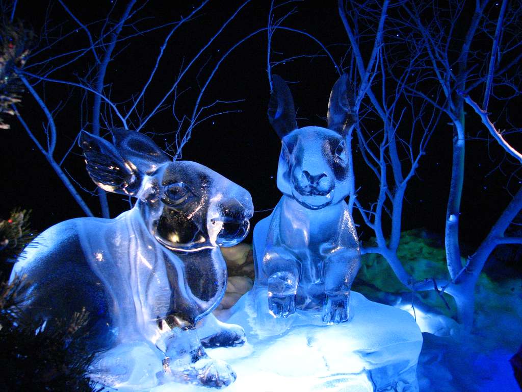 Sculptures sur glace du Gaylord Palms Sculptures sur glace du Gaylord Palms