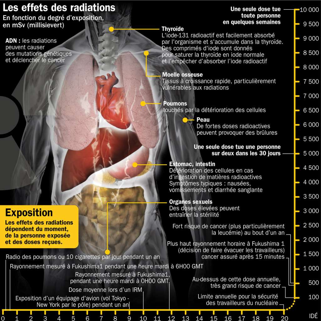 Les effets d'expositions à la radioactivité. © Idé