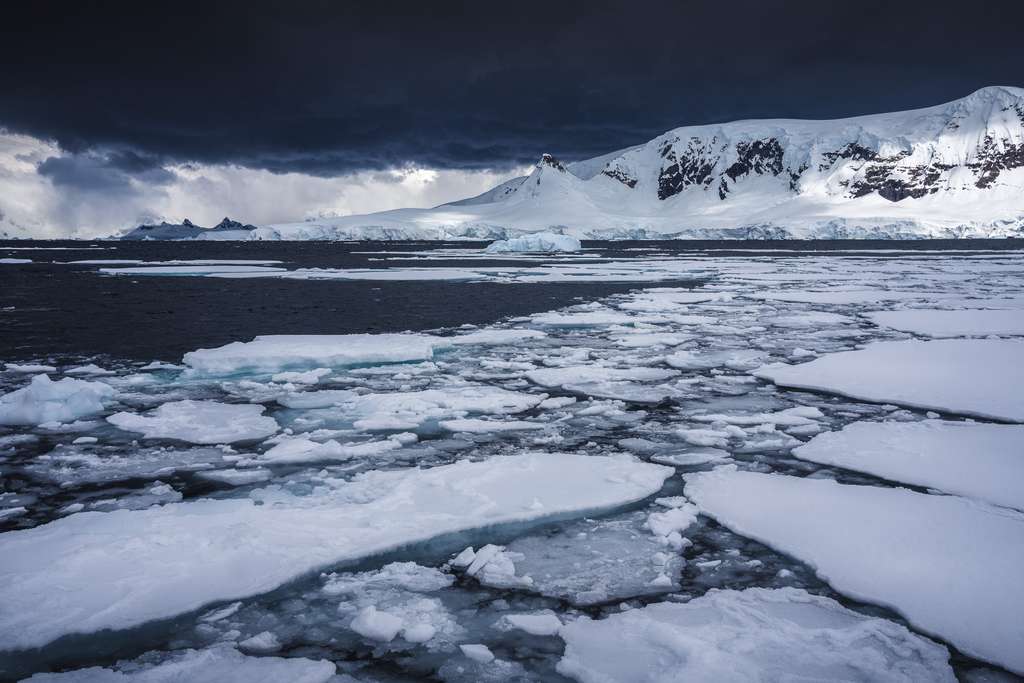Glace de mer, Antarctique