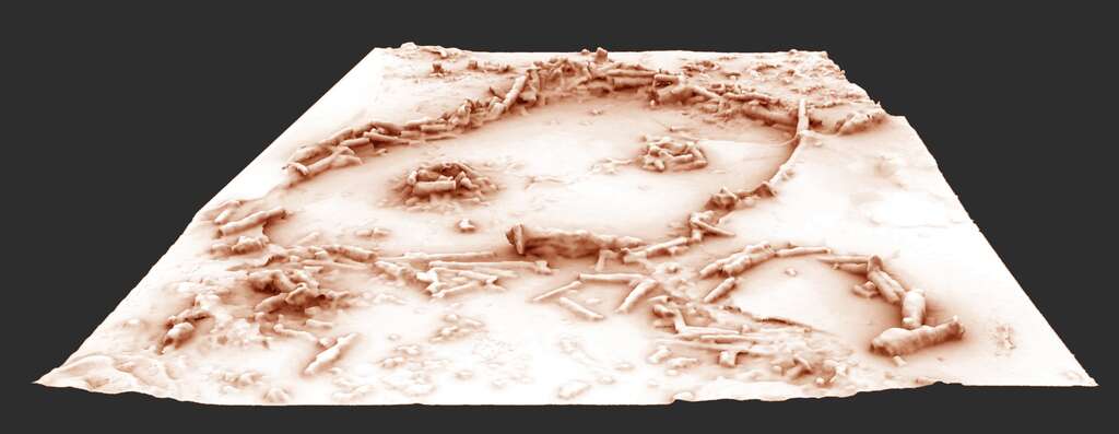 Reconstitution en 3D de la structure en cercle. Les repousses de stalagmites, postérieures à la réalisation, ont été supprimées sur ordinateur. © Xavier Muth, Get in Situ, Archéotransfert, Archéovision-SHS-3D, base photographique Pascal Mora