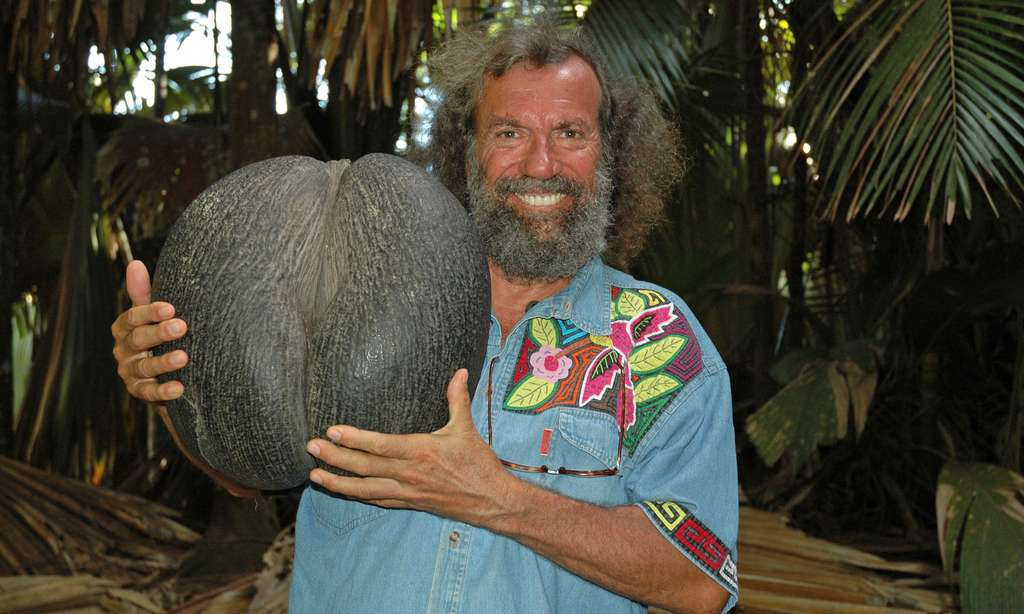 Antoine tient en main un coco-fesse Antoine tient en main un coco-fesse