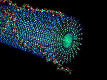 Sur la fibre composée de peptides amphiphiles s'accrochent des filaments d'héparine. Sur elle viendront se fixer des facteurs de croissance naturellement produits par l'organisme. Immobilisés, ils seront alors plus efficaces. Sur la fibre composée de peptides amphiphiles s'accrochent des filaments d'héparine. Sur elle viendront se fixer des facteurs de croissance naturellement produits par l'organisme. Immobilisés, ils seront alors plus efficaces.
