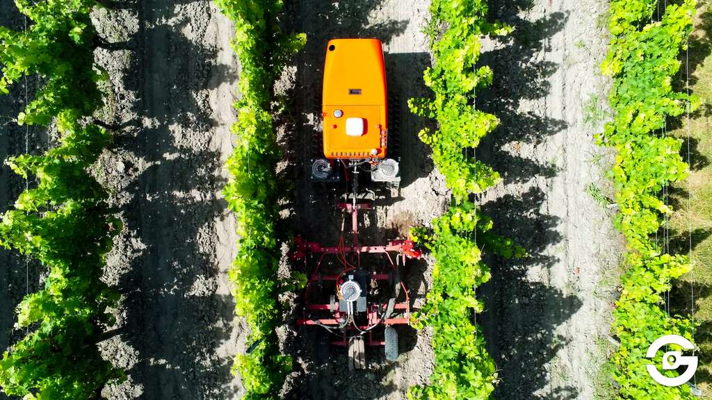 Les robots fermiers d’AgreenCulture parcourent les champs pour remplacer le travail manuel pénible et éviter l’utilisation massive de produits phystosanitaires. © AgreenCulture