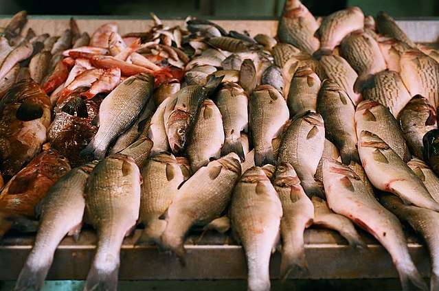 Les pesco-végétariens peuvent consommer du poisson. © Gregg Tit Con, Wikimedia commons, CC by 2.0