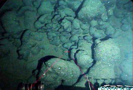 Blocs de basalte reposant sur le fond de l'océan. Cette roche vitrifiée provient de la solidifiation de magma. L'image a été prise à 2.200 mètres de profondeur, le 2 septembre 2004, par le sous-Marin Alvin (mission AT 11-16). © The Alvin Frame-Grabber System