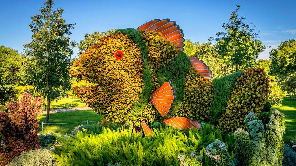 Mosaïculture de poisson-clown par le parc national d’Okinawa, Japon Mosaïculture de poisson-clown par le parc national d’Okinawa, Japon