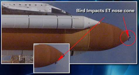 Un oiseau choqué contre le sommet du réservoir principal de Discovery 2,5 secondes après le décollage (crédit : NASA/SpaceFlightNow)