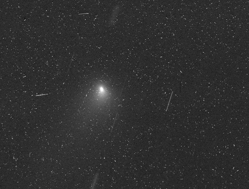 Une des photos prises de 2I/Borisov, ici avec le télescope Hubble le 12 octobre 2019 et par l'astronome David Jewitt (University of California) avec son équipe. Les traits blancs peuvent être, comme le savent les utilisateurs de camera CCD dans l'espace, des impacts de rayons cosmiques. © Jewitt et al, HST 